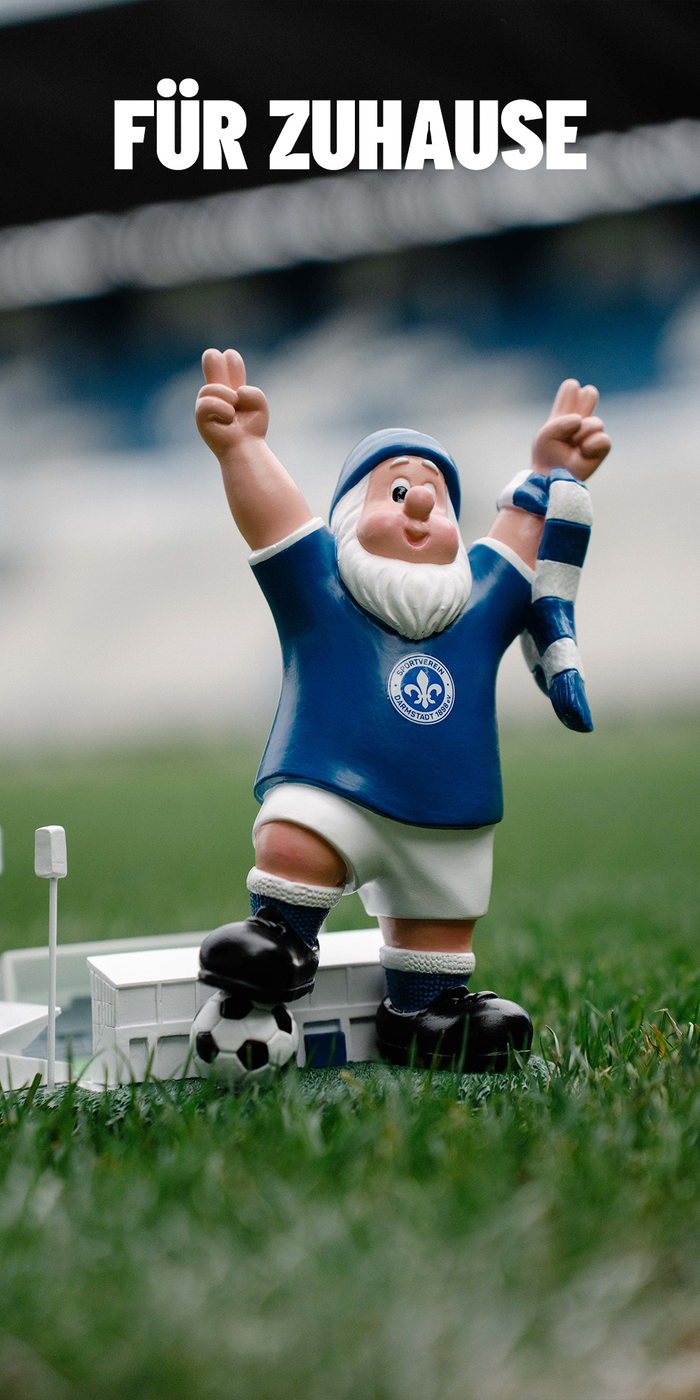 Fanartikel für Zuhause, SV Darmstadt 98