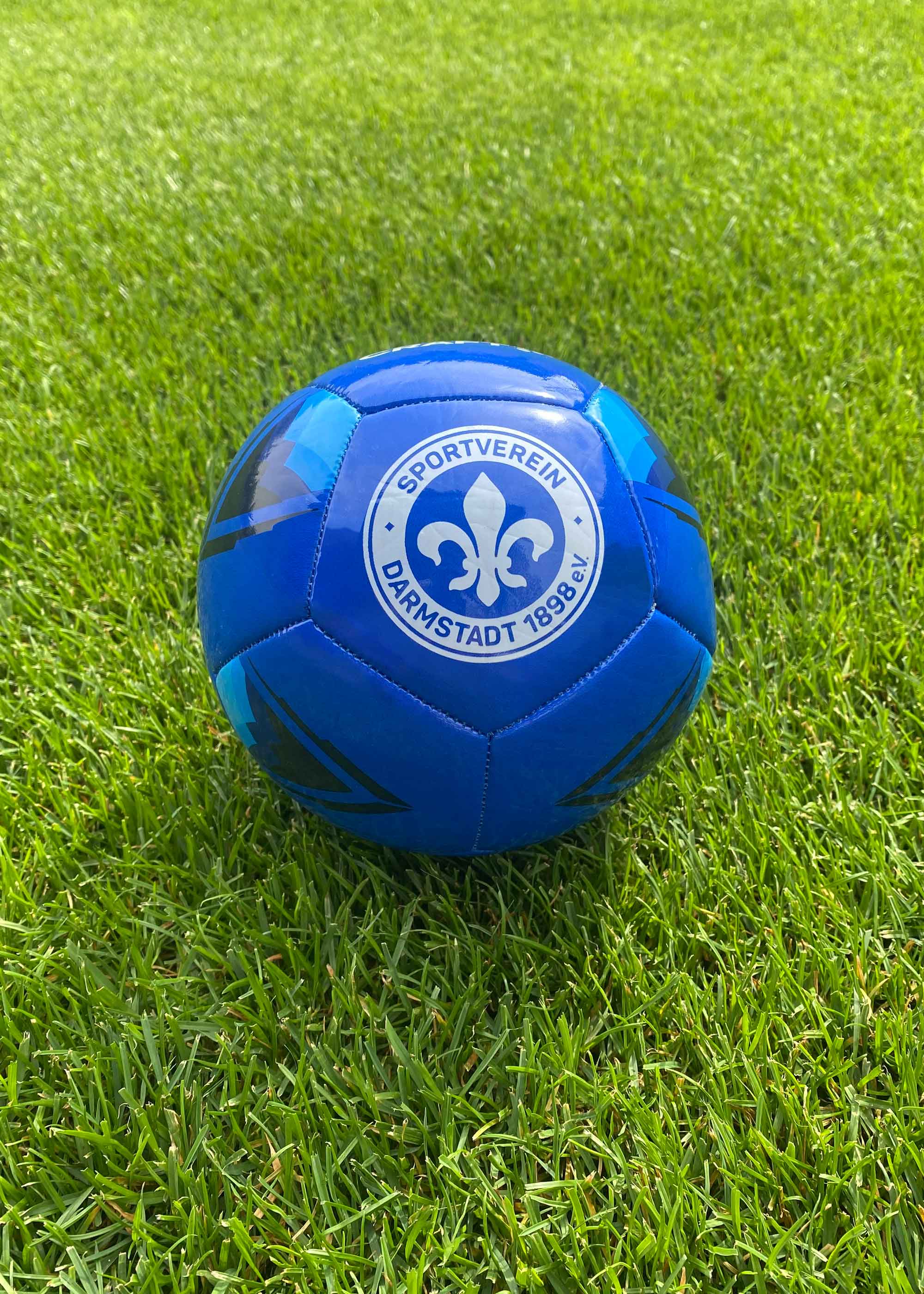 SV 98 CRAFT Mini-Ball SV 98 CRAFT Mini-Ball